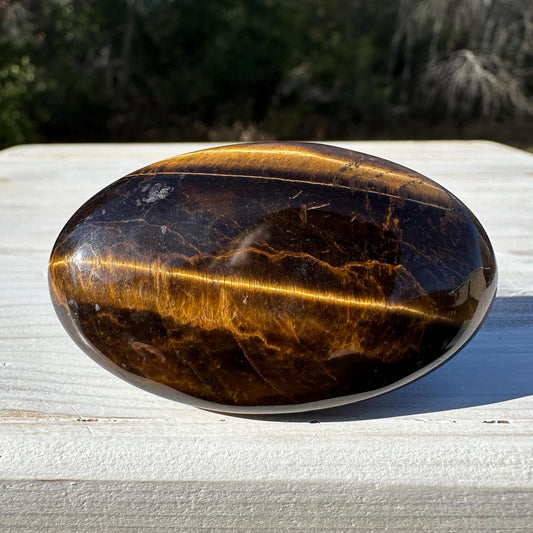 High Quality Natural Tiger Eye Palm Stone - #1
