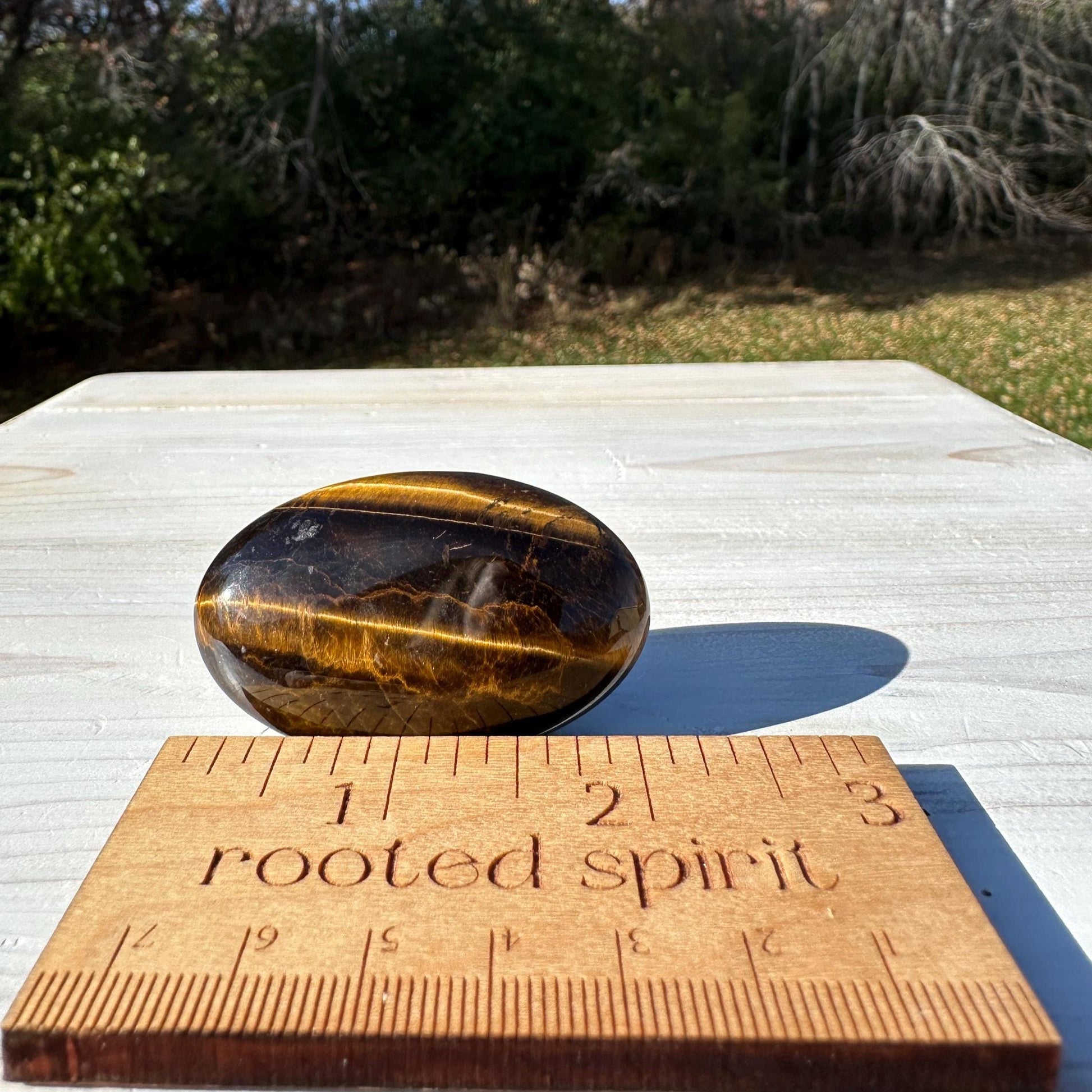 High Quality Natural Tiger Eye Palm Stone - #1