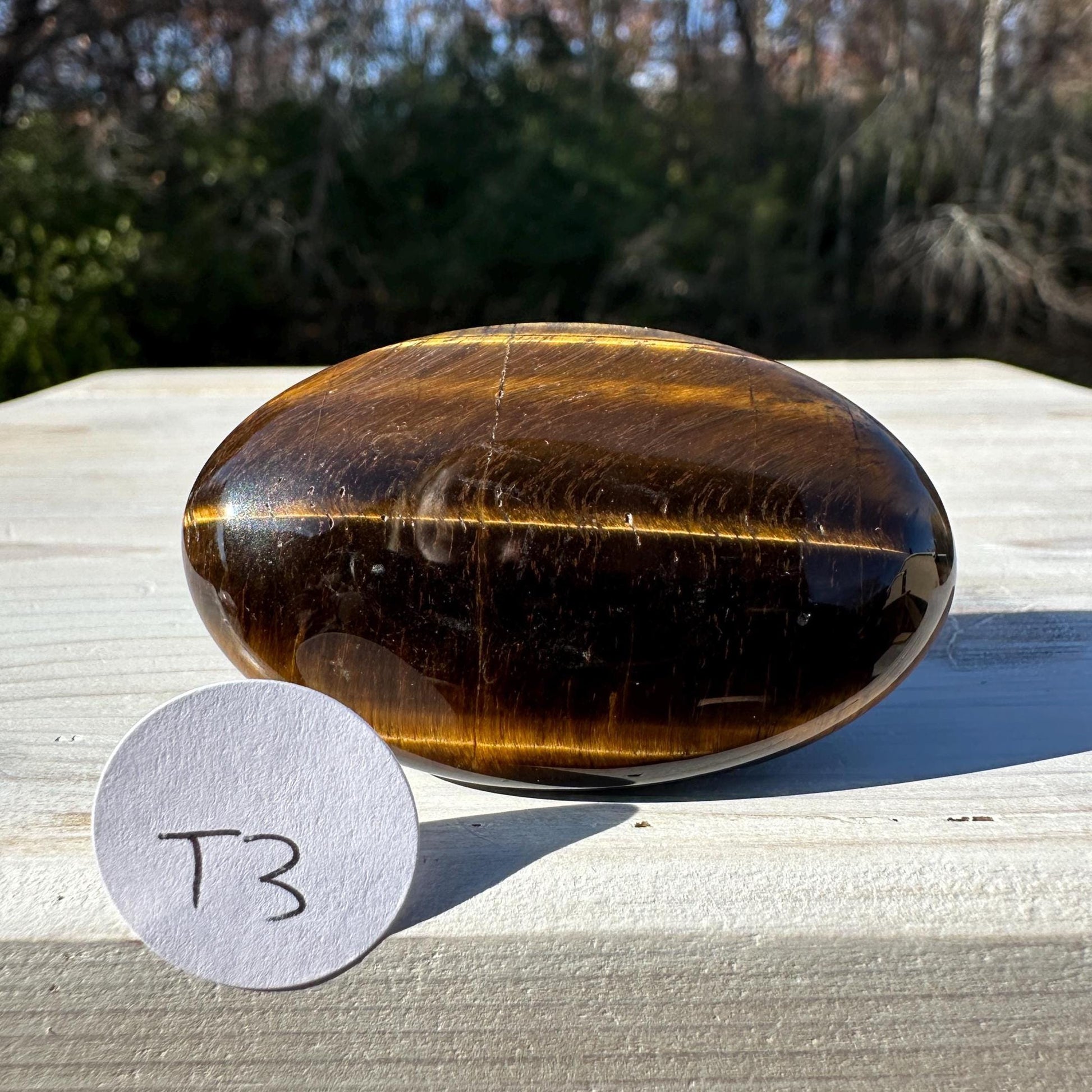 High Quality Natural Tiger Eye Palm Stone - #3