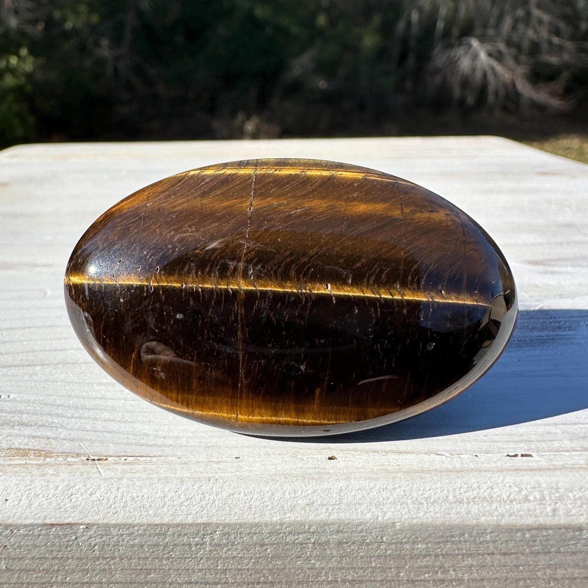 High Quality Natural Tiger Eye Palm Stone - #3
