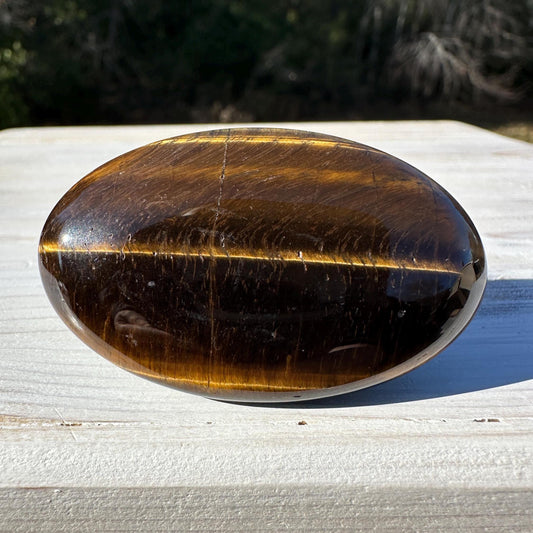 High Quality Natural Tiger Eye Palm Stone - #3