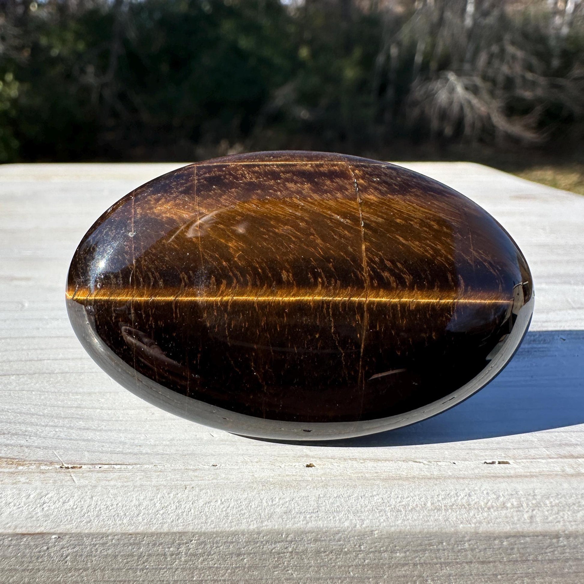 High Quality Natural Tiger Eye Palm Stone - #3