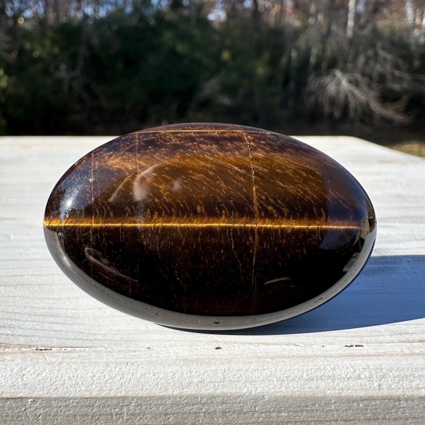 High Quality Natural Tiger Eye Palm Stone - #3