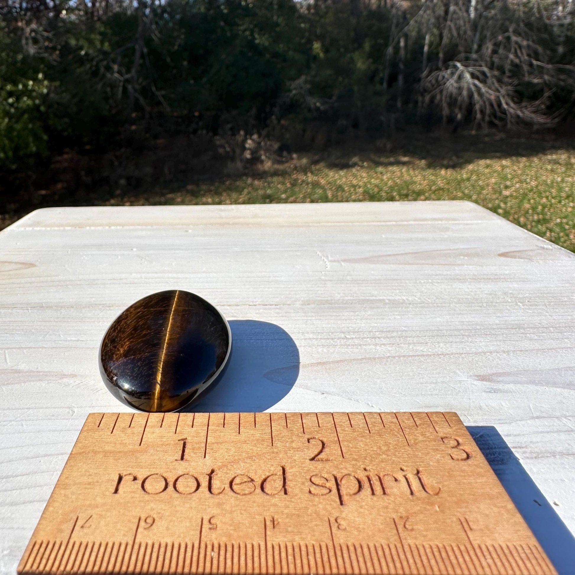 High Quality Natural Tiger Eye Palm Stone - #3