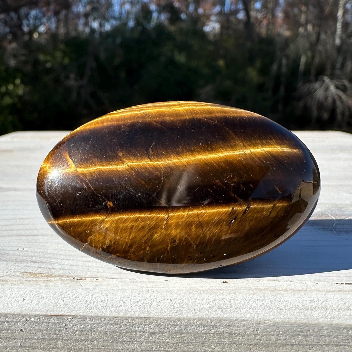 High Quality Natural Tiger Eye Palm Stone - #4