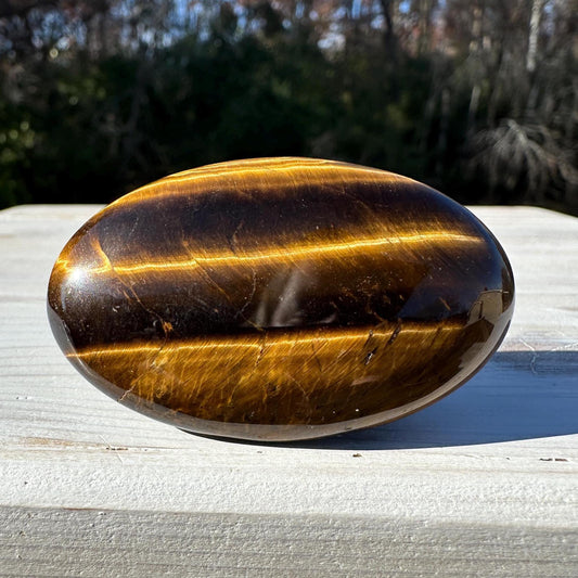 High Quality Natural Tiger Eye Palm Stone - #4