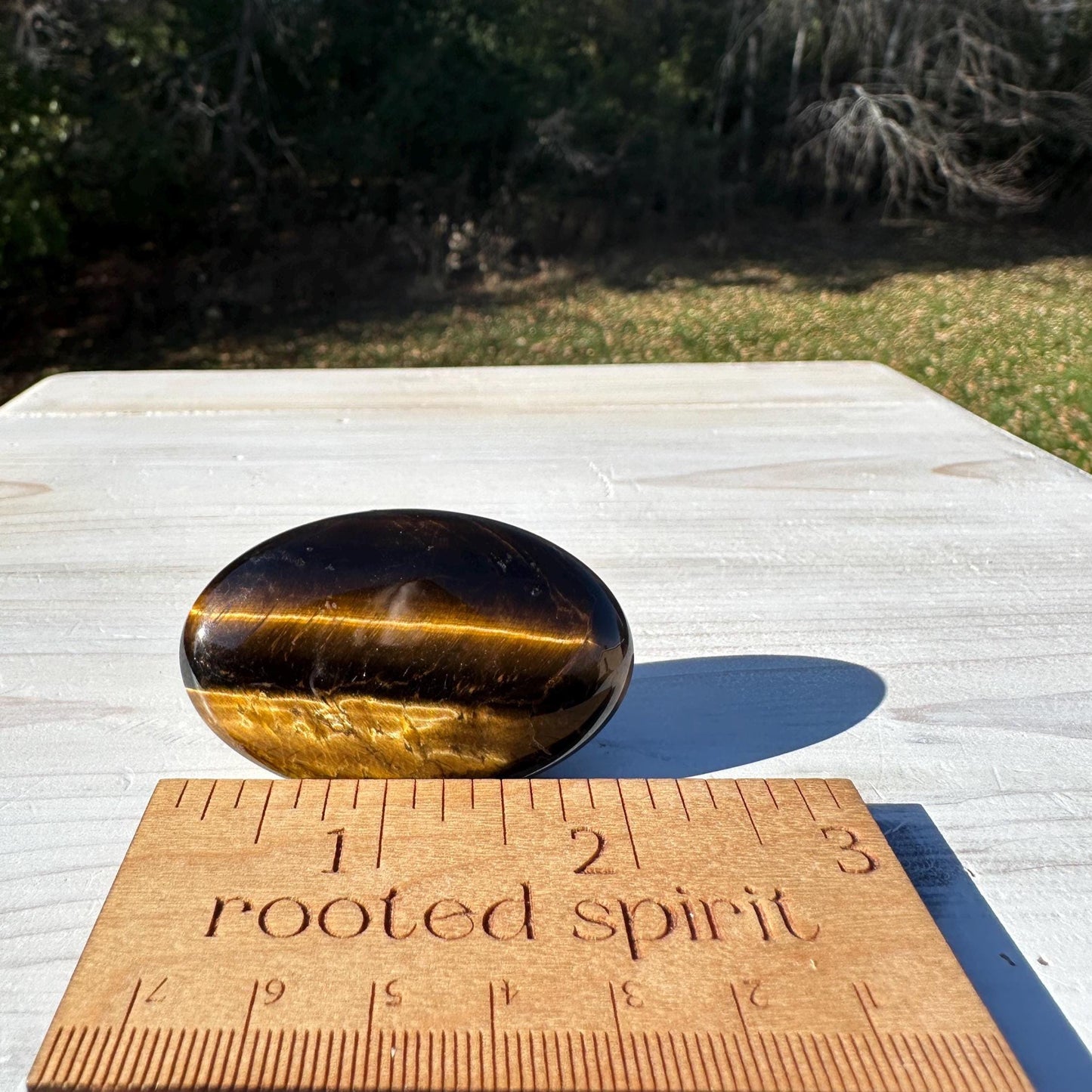 High Quality Natural Tiger Eye Palm Stone - #4