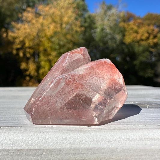 Incredible Small Raw Pink Lemurian Freeform from Brazil - #2
