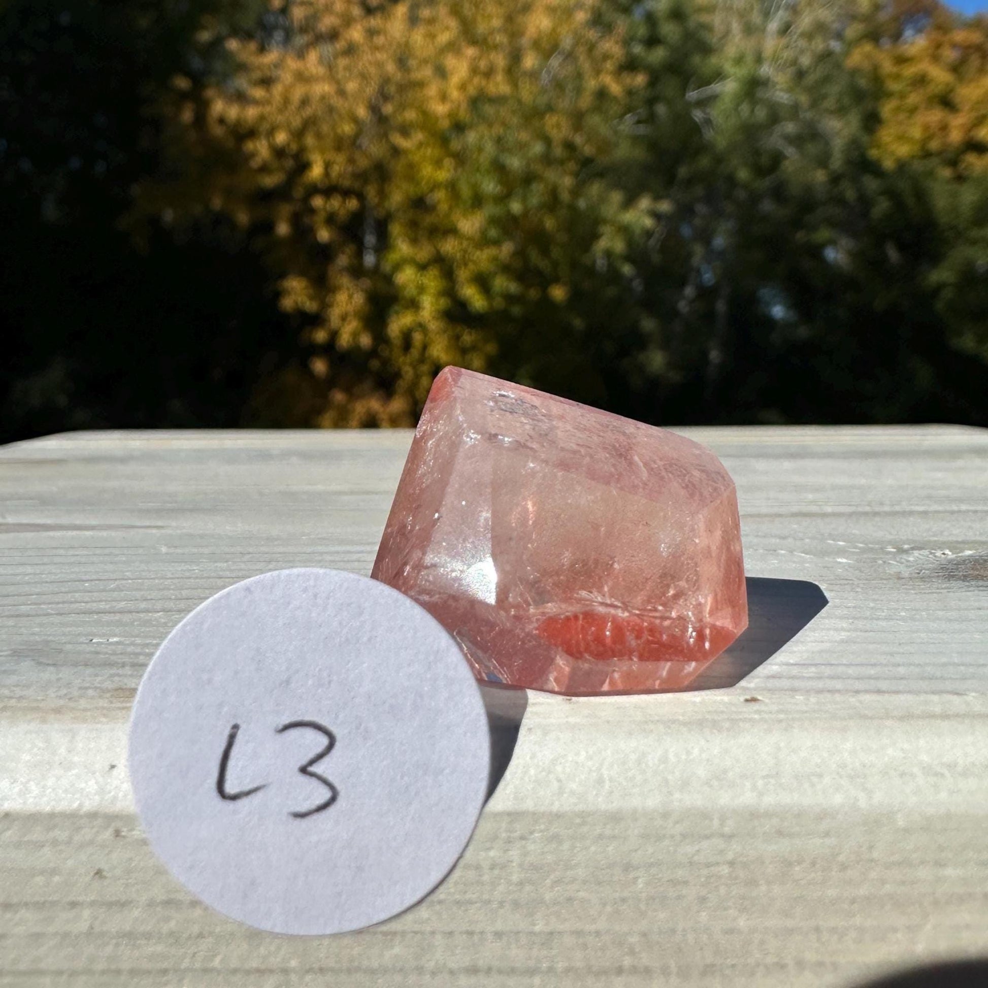 Incredible Small Raw Pink Lemurian Freeform from Brazil - #3