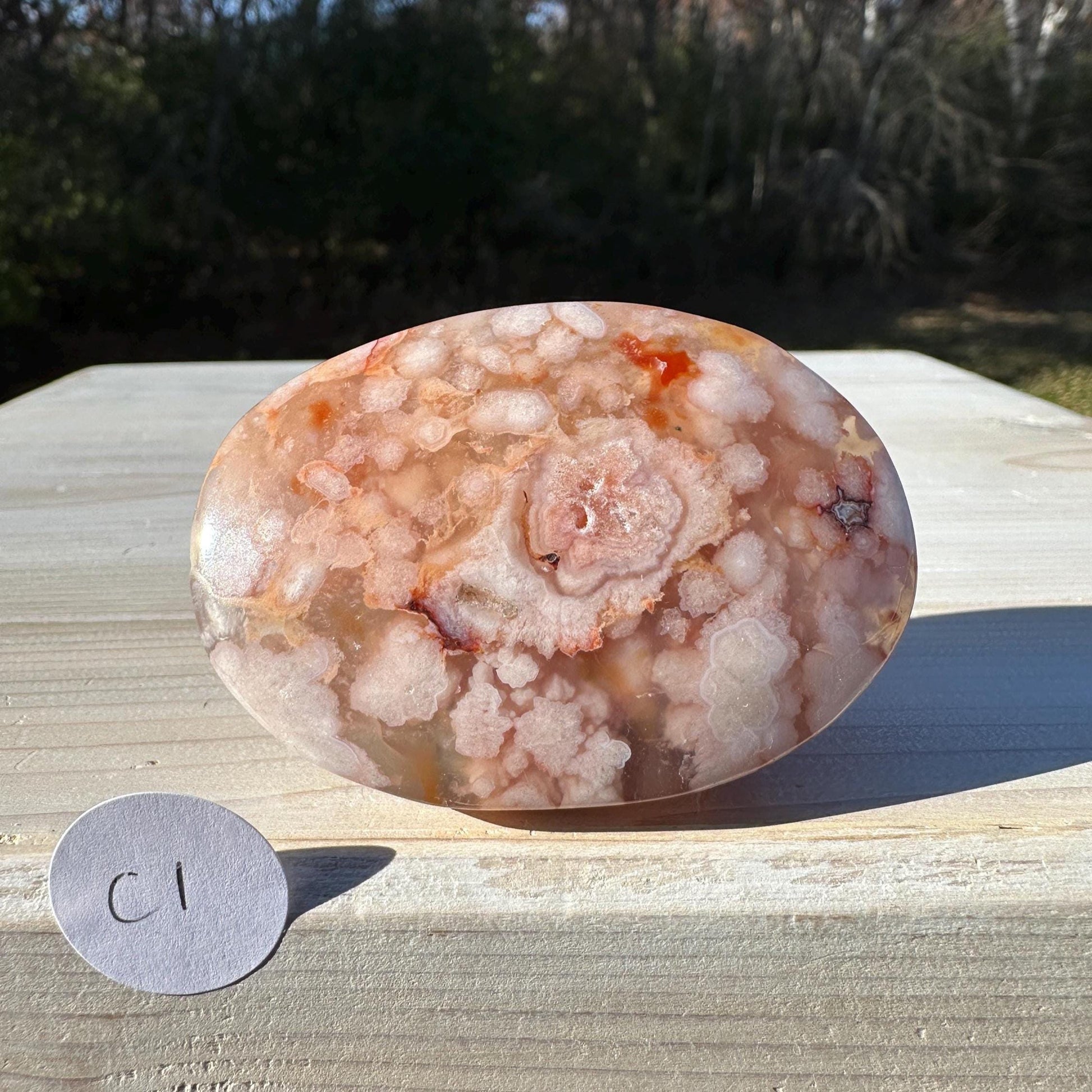 Beautiful Carnelian Flower Agate Palm Stone- #1