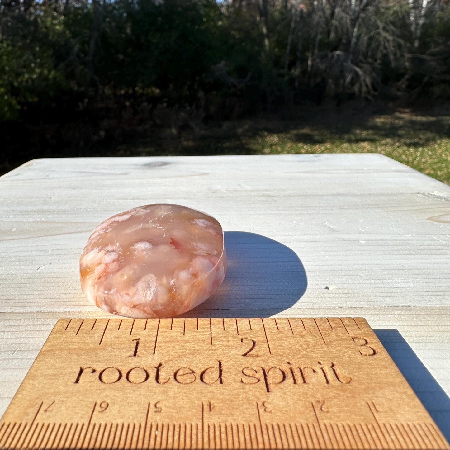 Beautiful Carnelian Flower Agate Palm Stone- #1