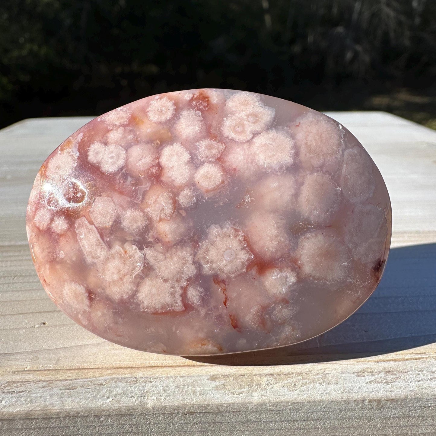 Beautiful Carnelian Flower Agate Palm Stone- #2