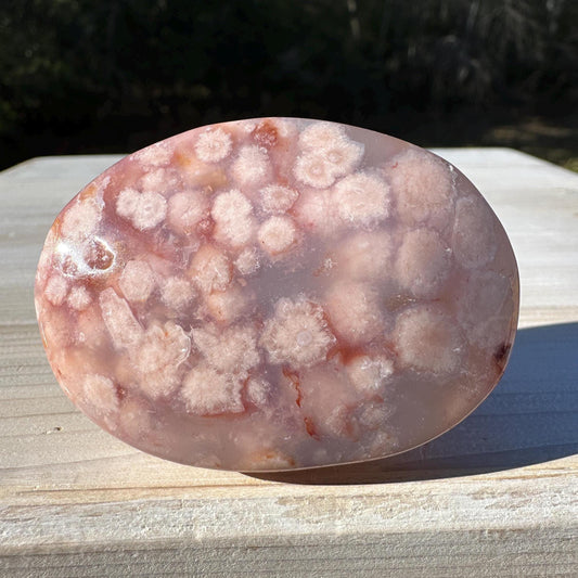 Beautiful Carnelian Flower Agate Palm Stone- #2