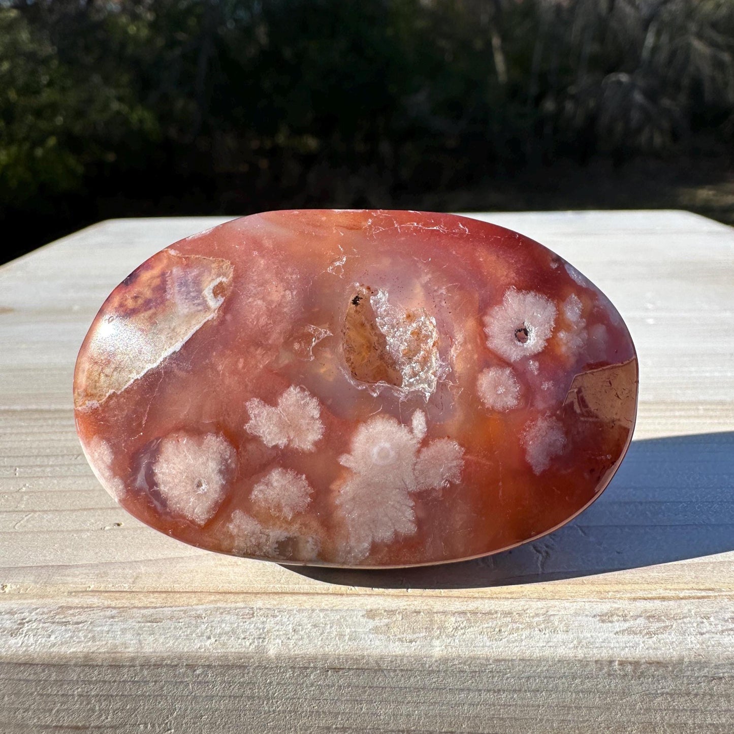 Beautiful Carnelian Flower Agate Palm Stone- #3