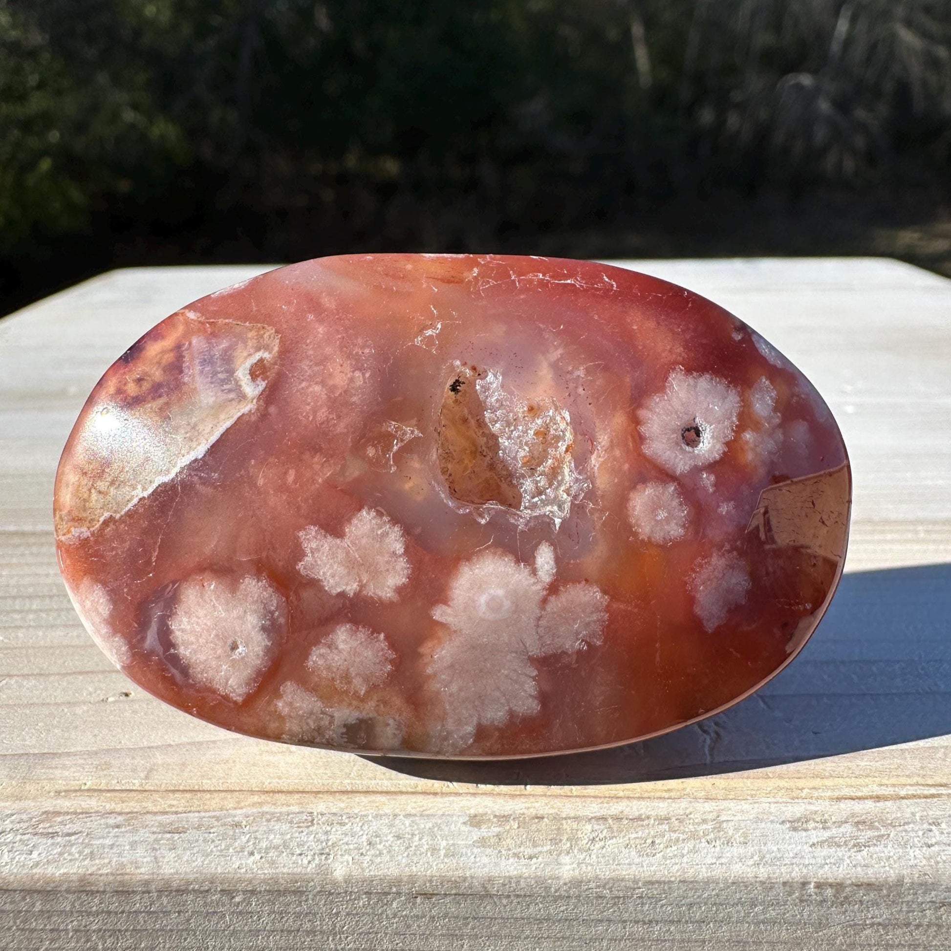 Beautiful Carnelian Flower Agate Palm Stone- #3