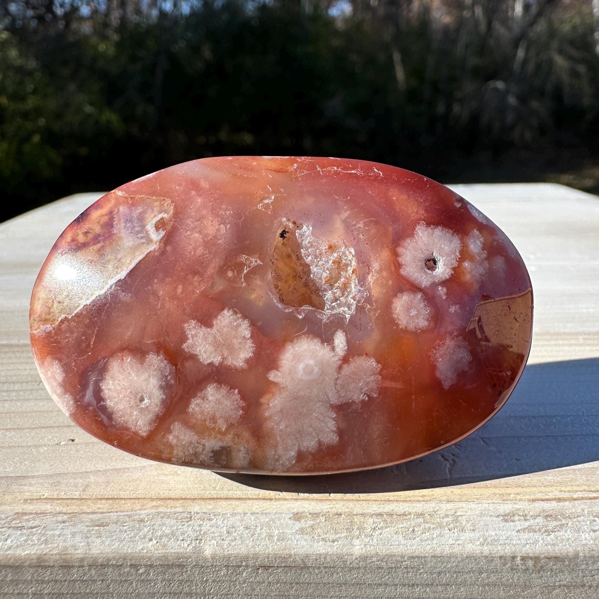 Beautiful Carnelian Flower Agate Palm Stone- #3