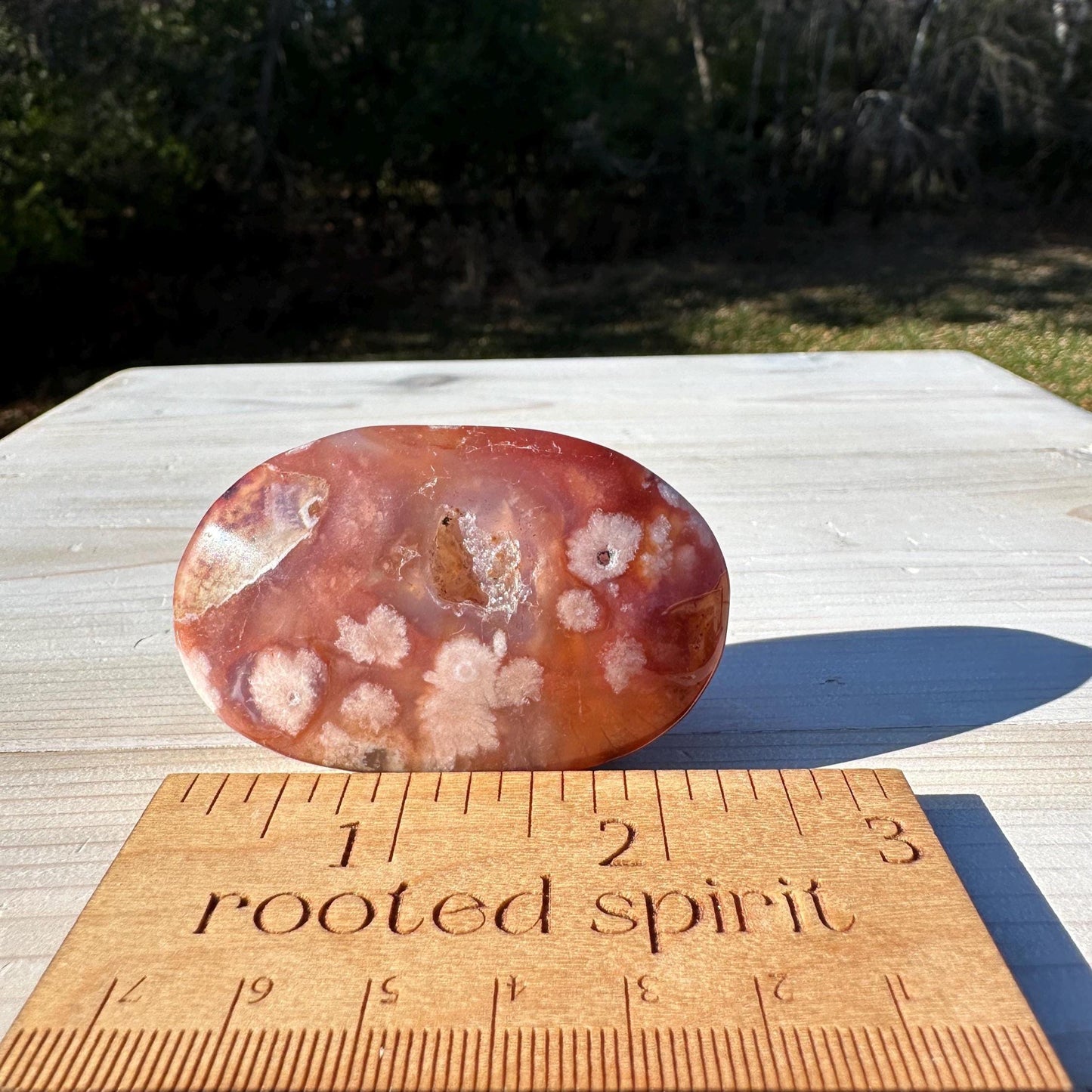 Beautiful Carnelian Flower Agate Palm Stone- #3