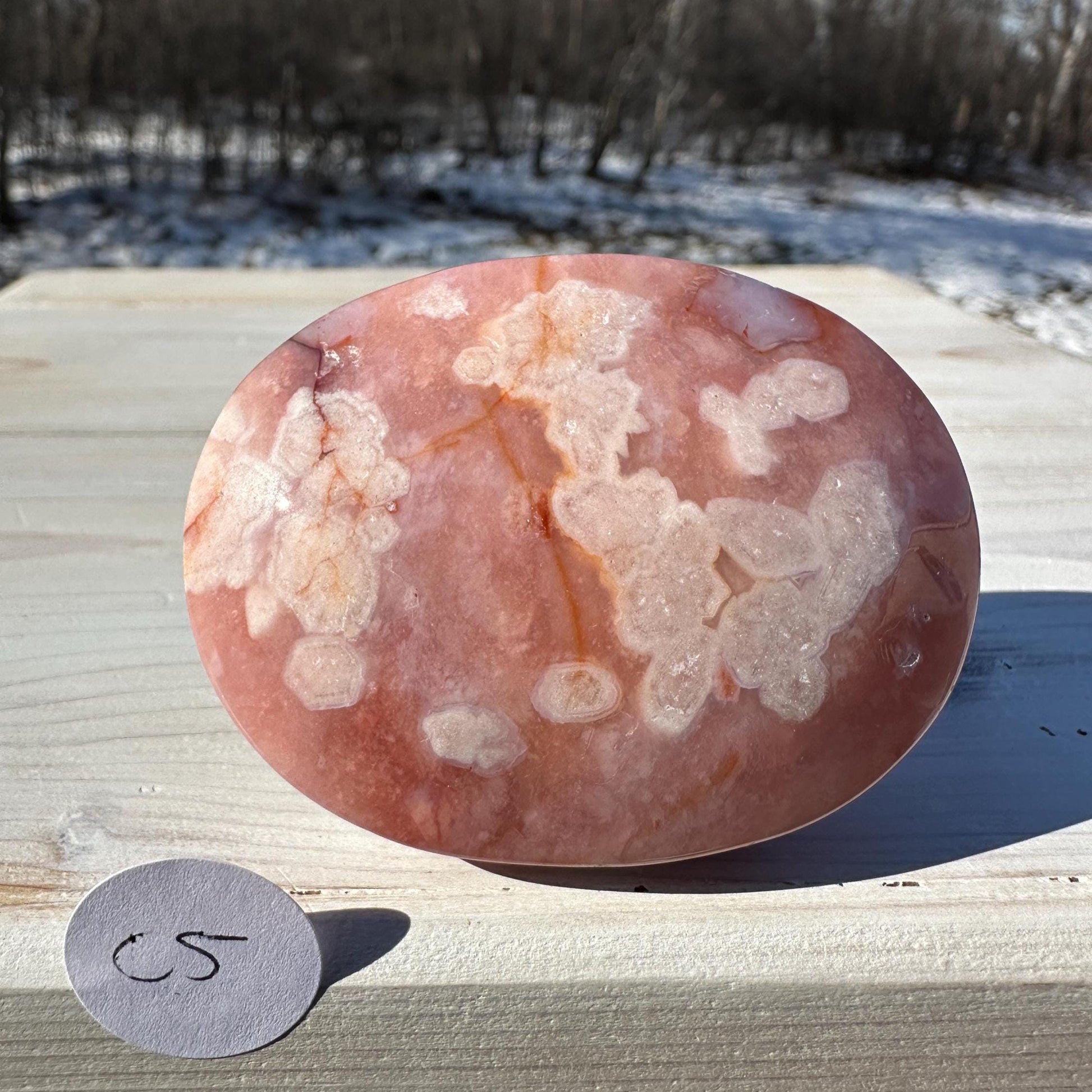 Beautiful Carnelian Flower Agate Palm Stone- #5