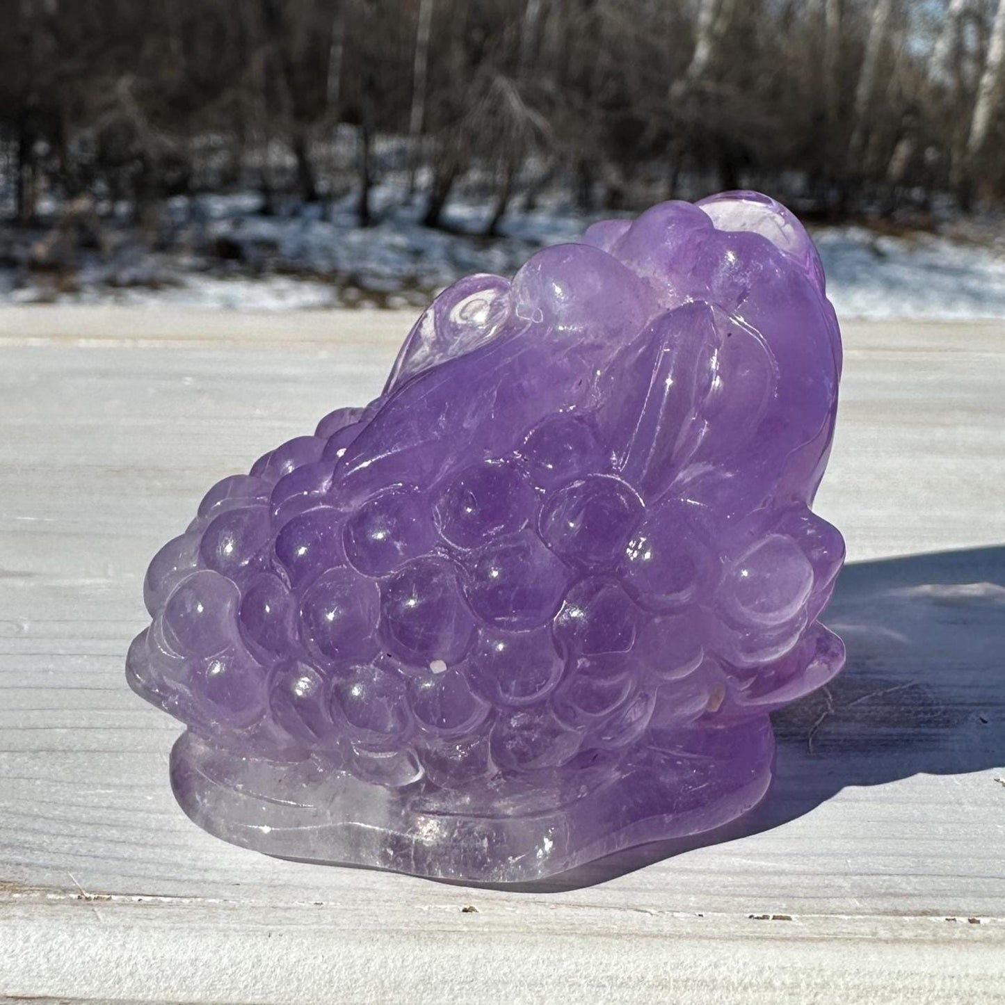 Stunning Purple Amethyst Money Toad