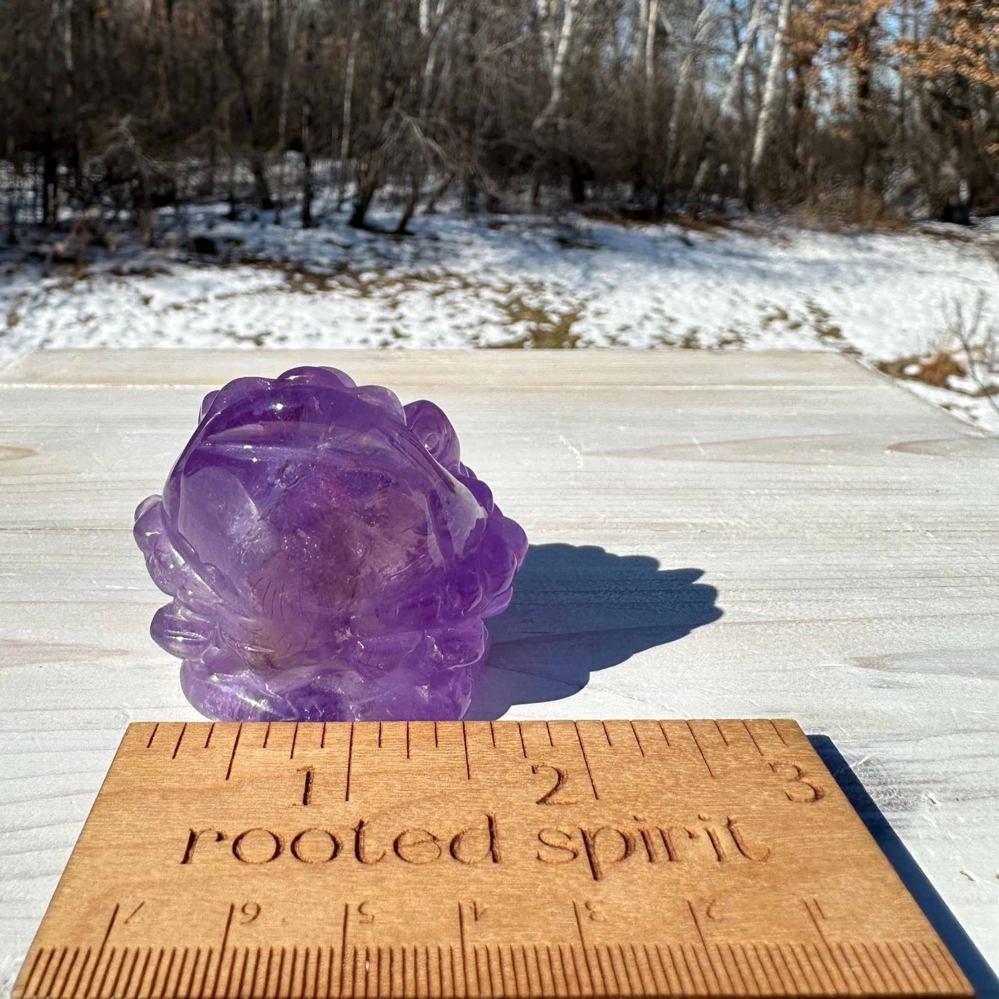 Stunning Purple Amethyst Money Toad
