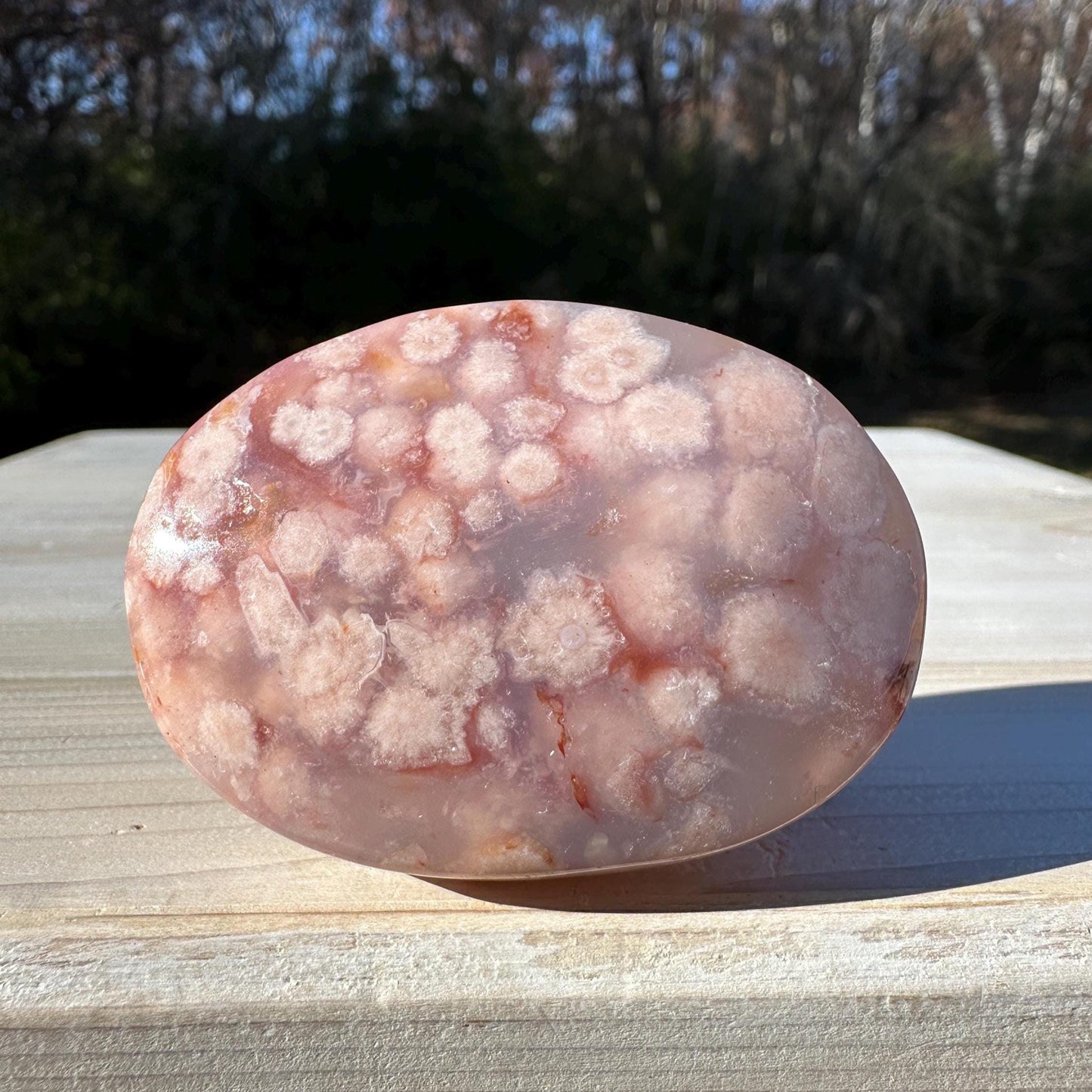 Beautiful Carnelian Flower Agate Palm Stone- #2