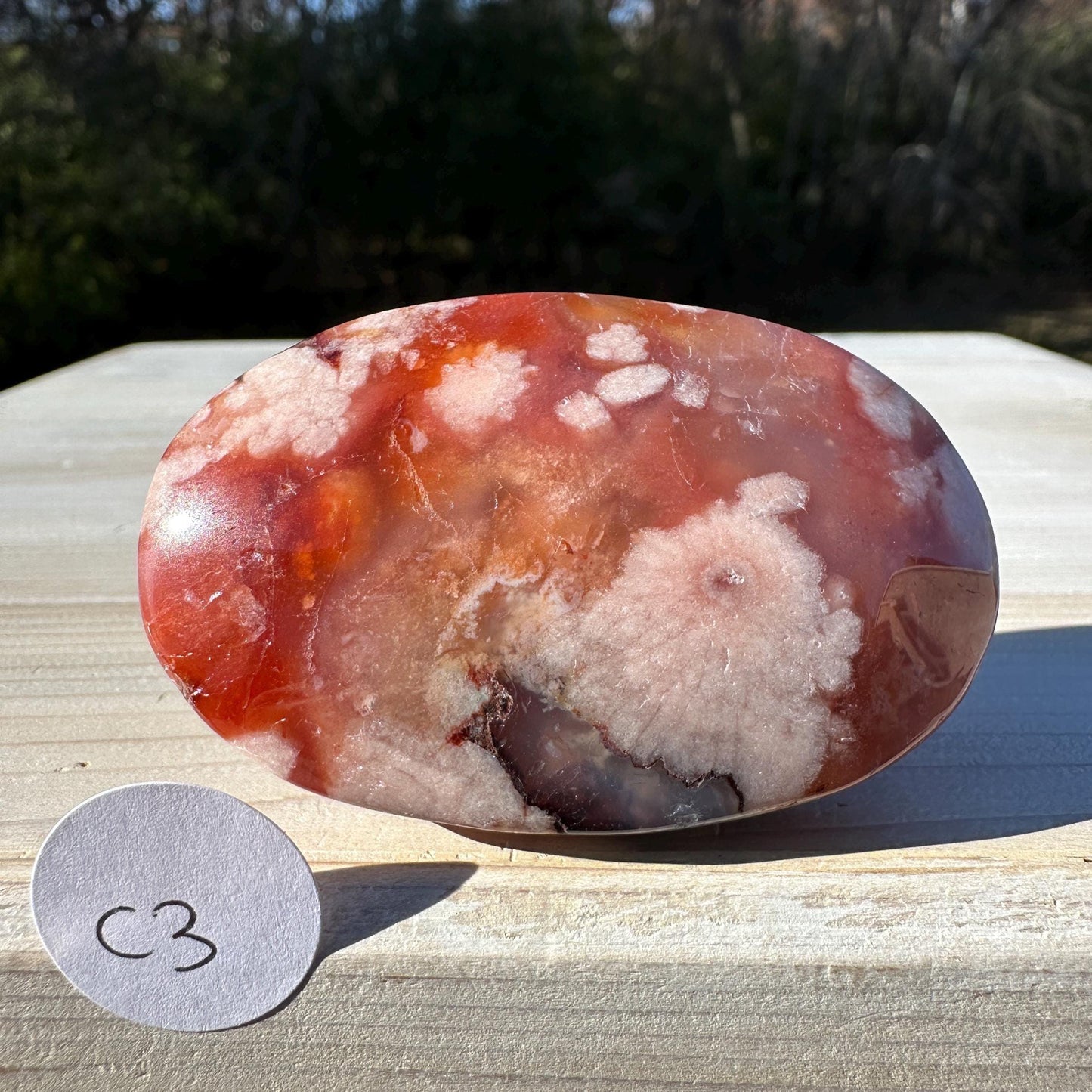 Beautiful Carnelian Flower Agate Palm Stone- #3