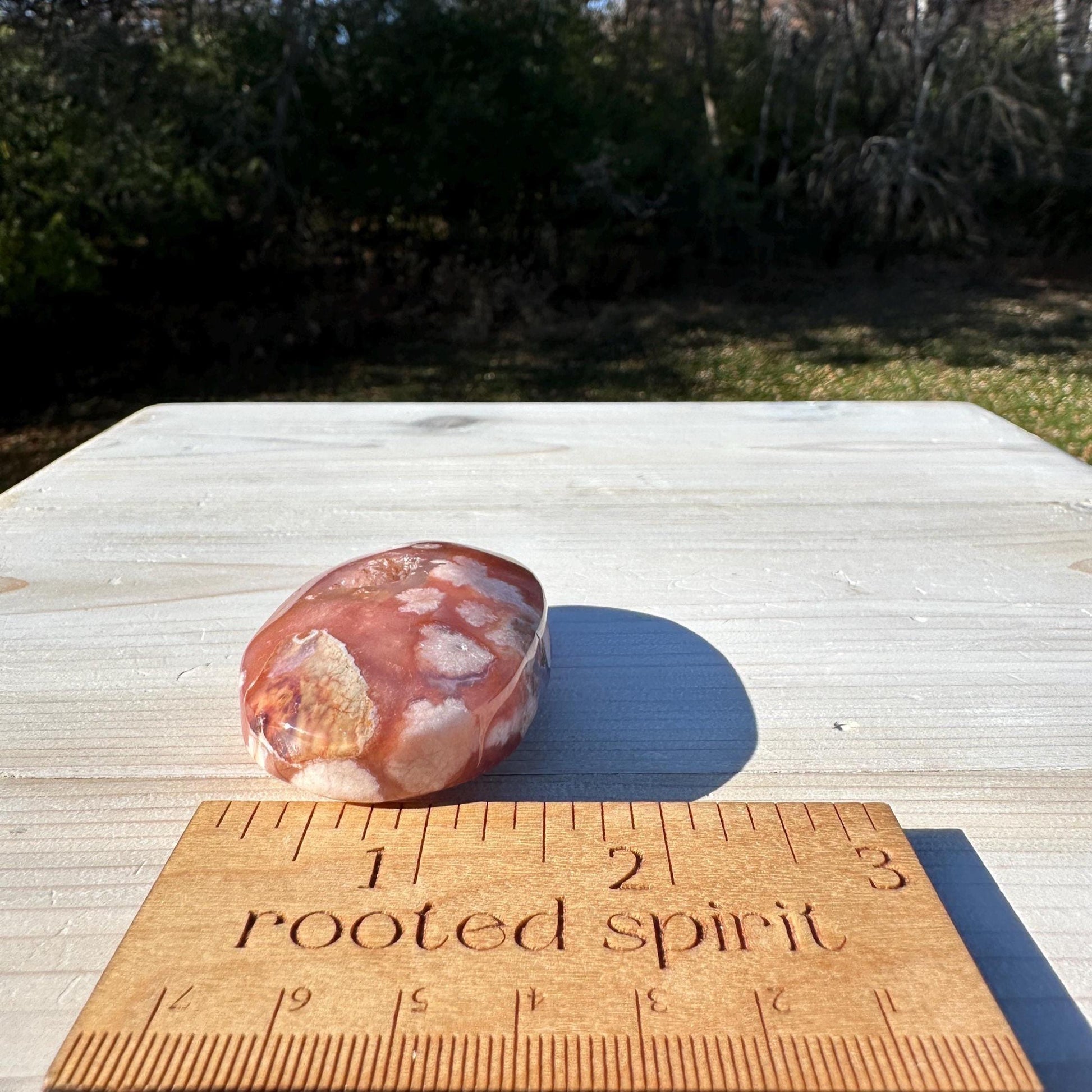 Beautiful Carnelian Flower Agate Palm Stone- #3