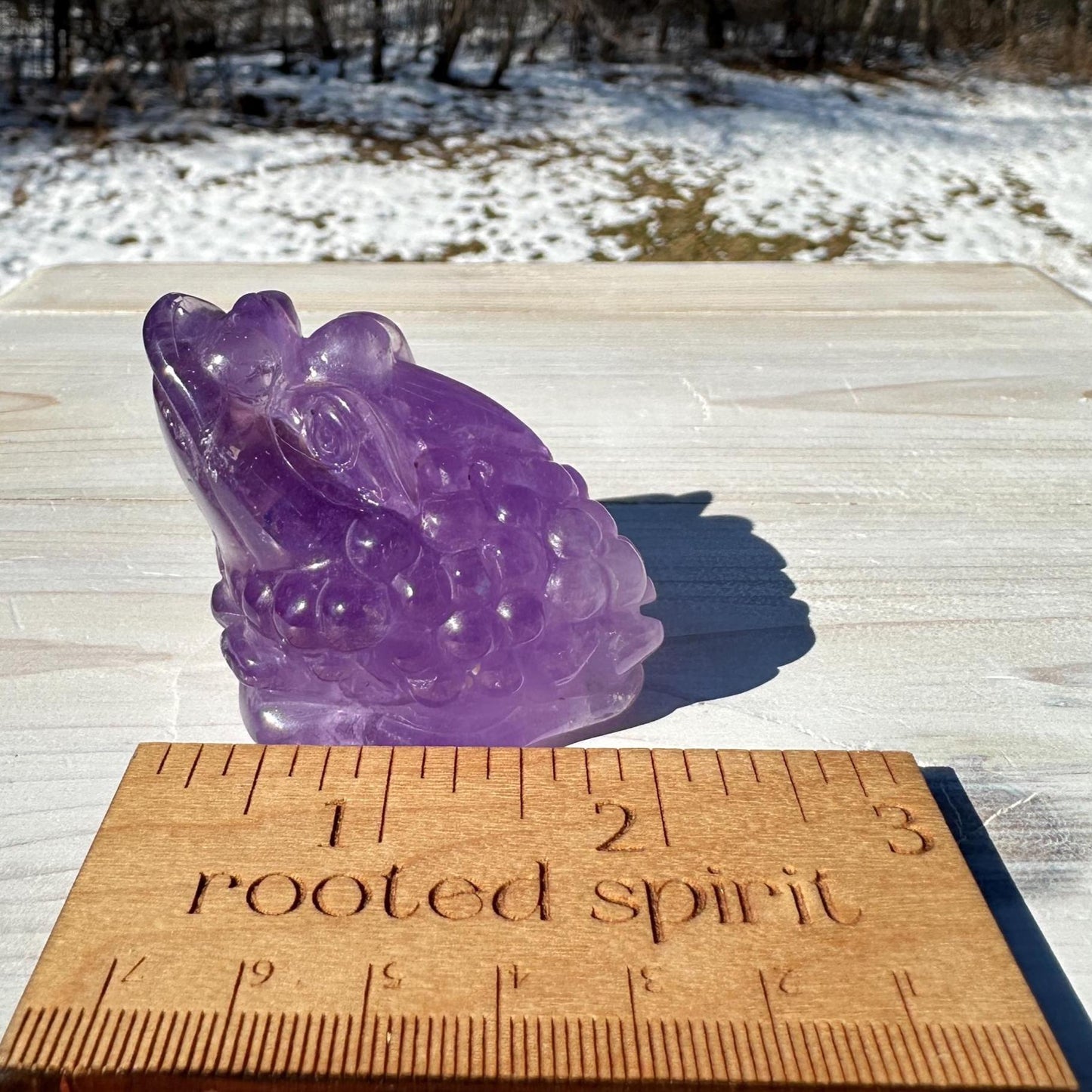 Stunning Purple Amethyst Money Toad