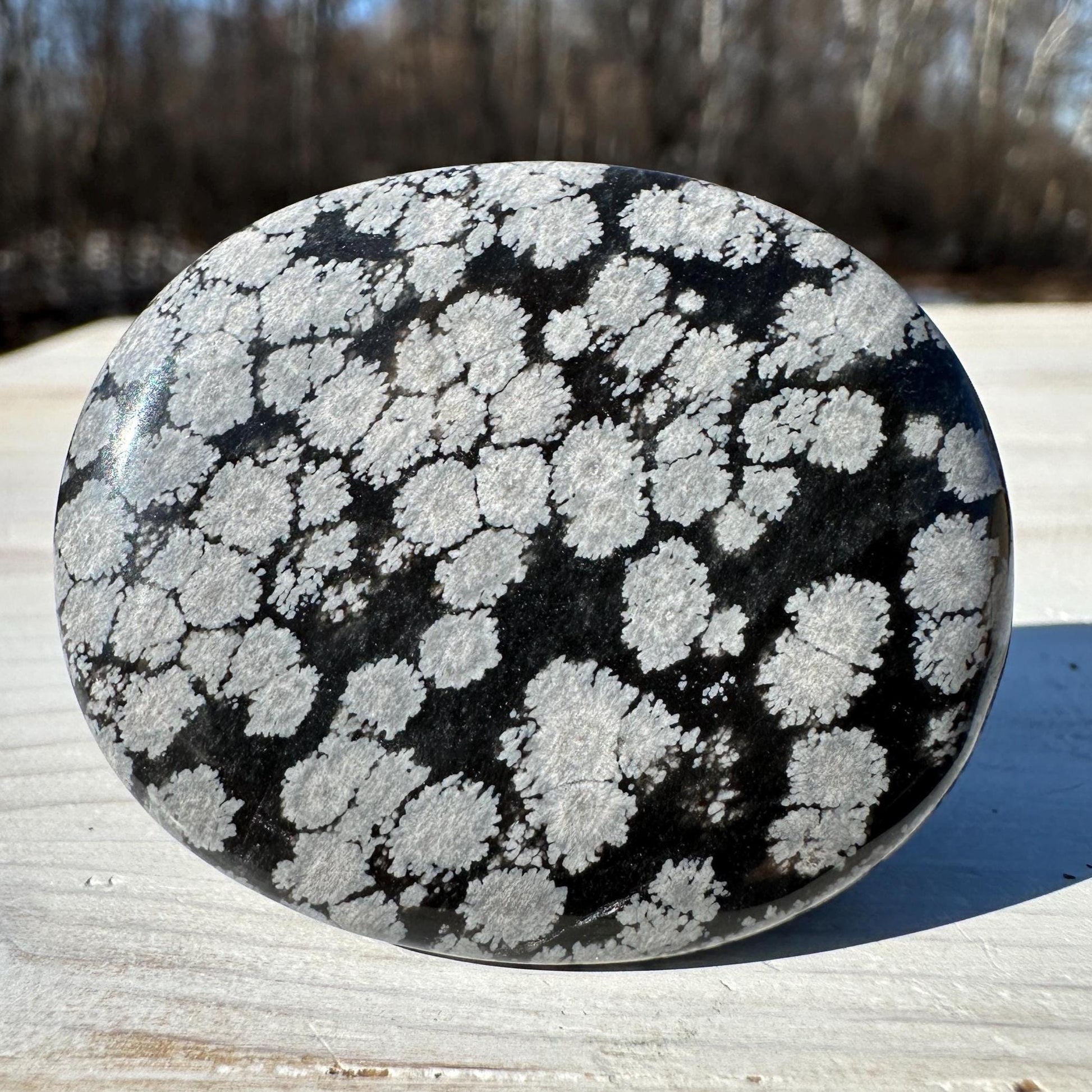 One (1) Snowflake Obsidian Polished Flat Stone