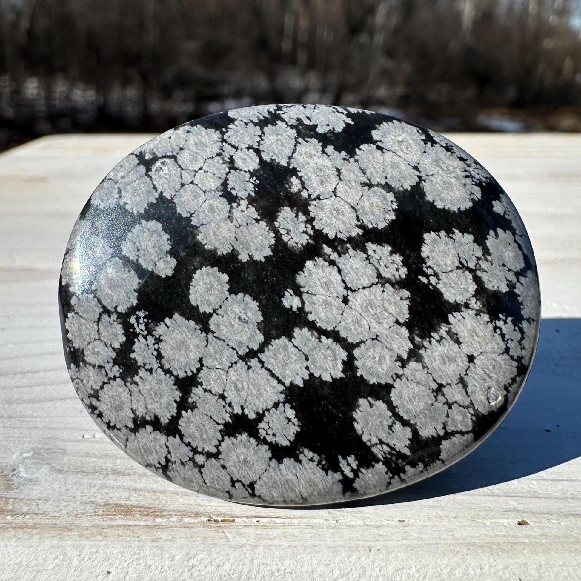 One (1) Snowflake Obsidian Polished Flat Stone