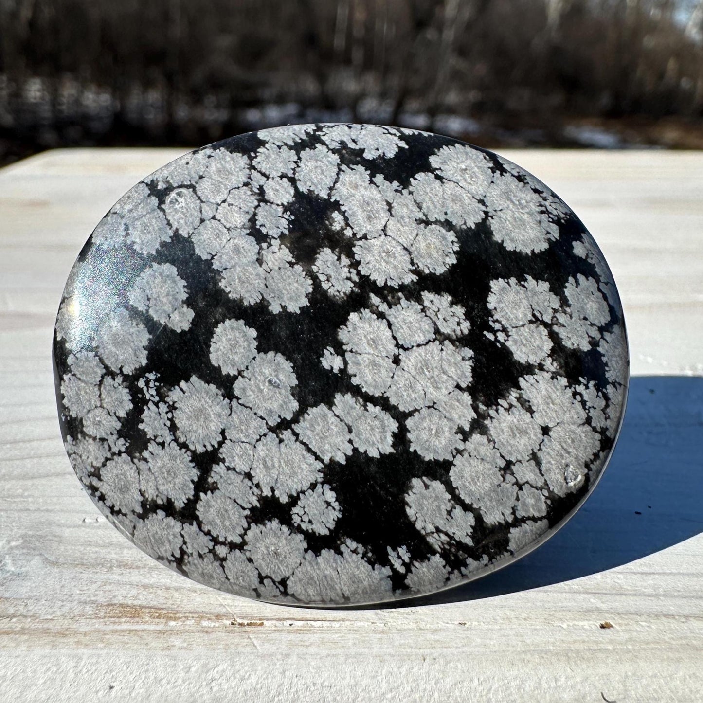One (1) Snowflake Obsidian Polished Flat Stone