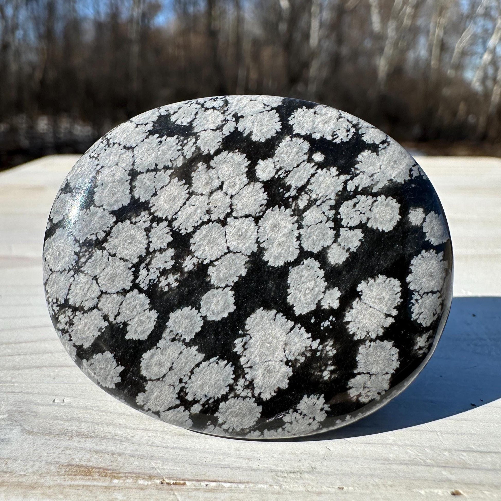 One (1) Snowflake Obsidian Polished Flat Stone