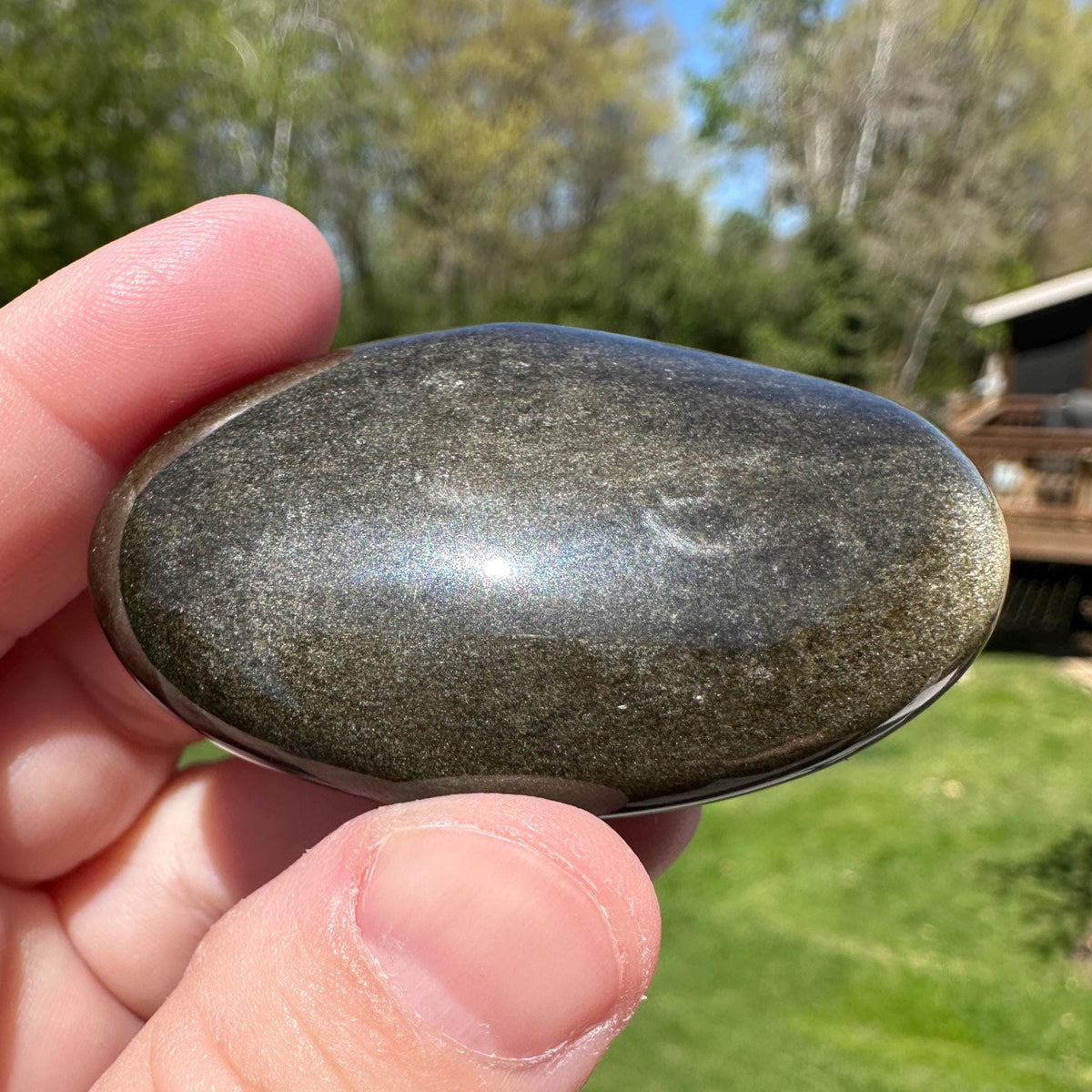 Beautiful Natural Gold Obsidian Crystal Palm Stone - #1