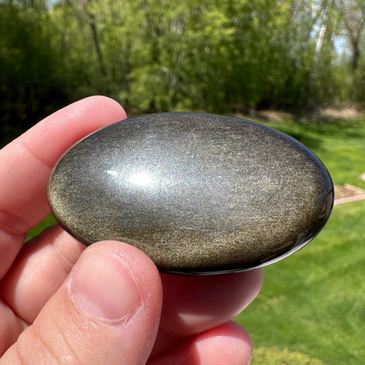 Beautiful Natural Gold Obsidian Crystal Palm Stone - #5