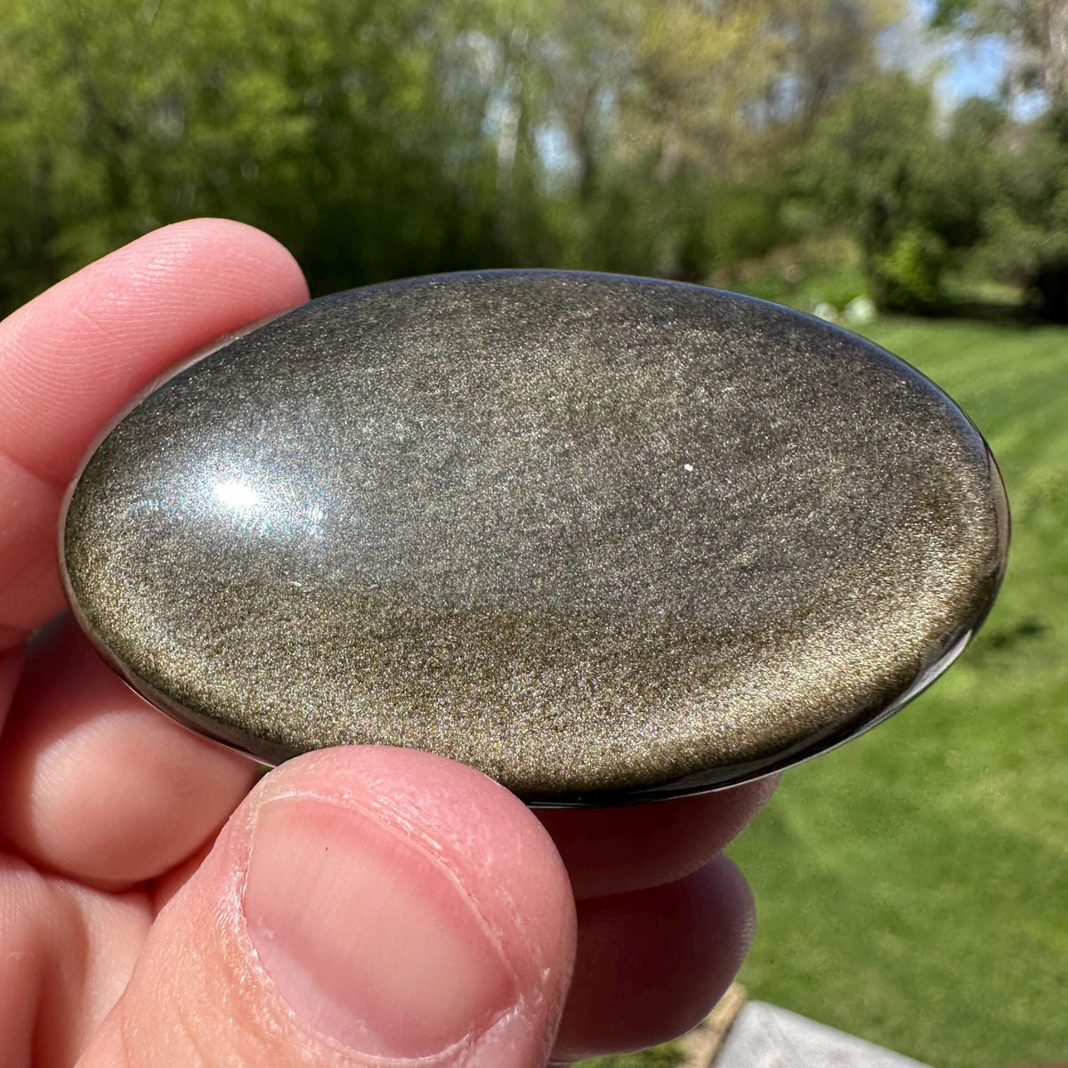 Beautiful Natural Gold Obsidian Crystal Palm Stone - #5