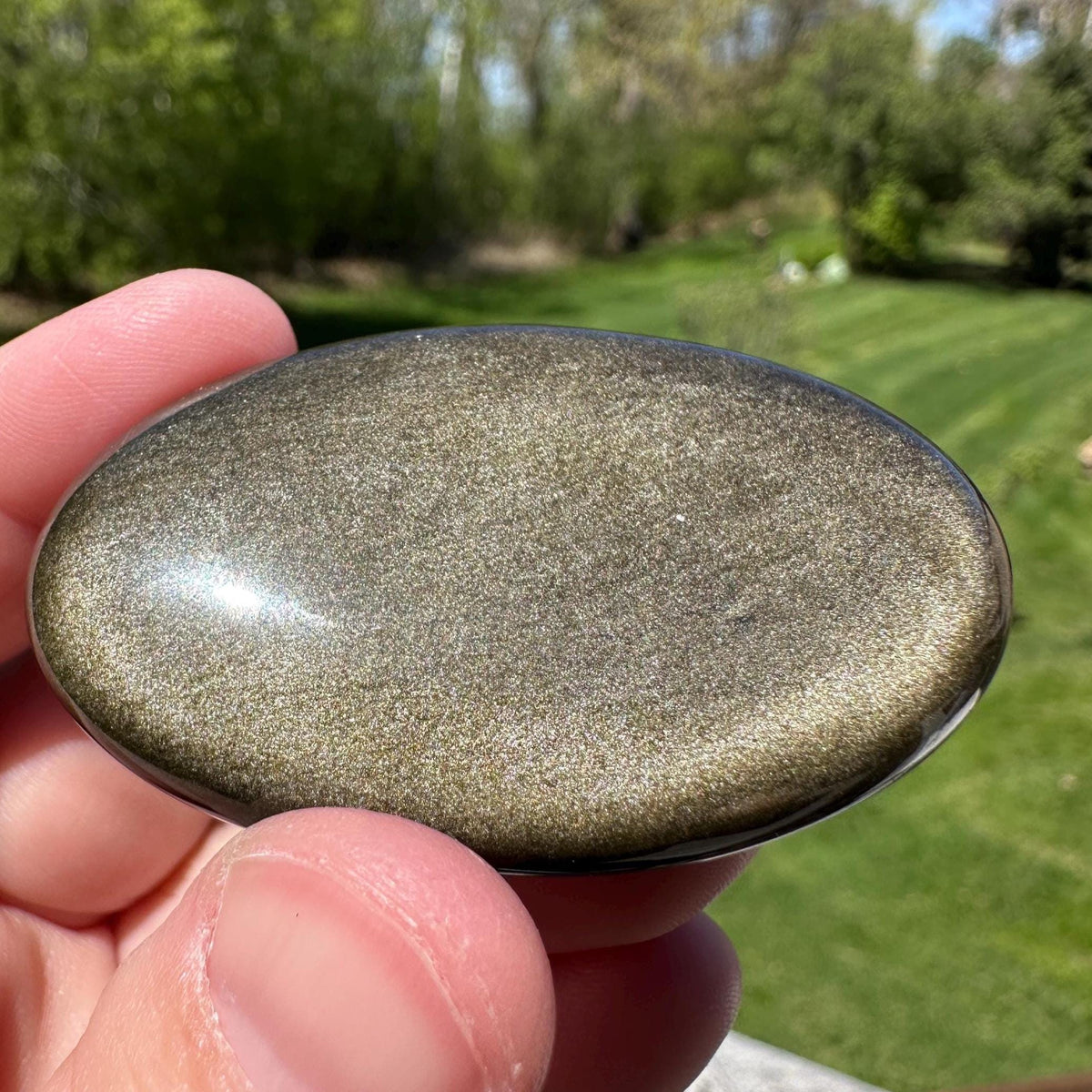 Beautiful Natural Gold Obsidian Crystal Palm Stone - #5