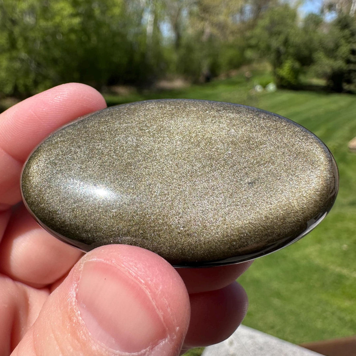 Beautiful Natural Gold Obsidian Crystal Palm Stone - #5