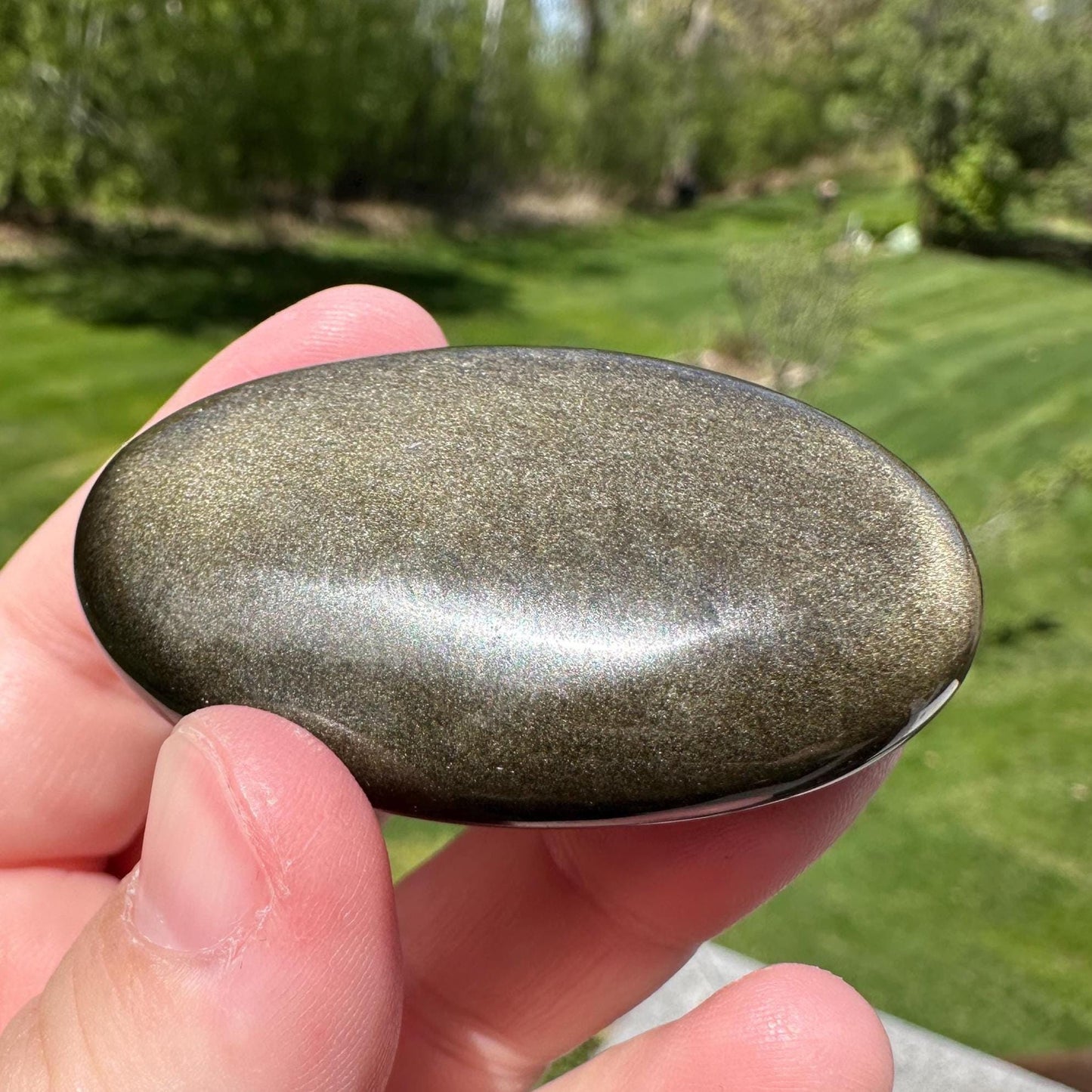 Beautiful Natural Gold Obsidian Crystal Palm Stone - #5