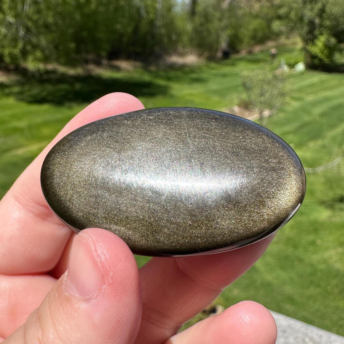 Beautiful Natural Gold Obsidian Crystal Palm Stone - #5