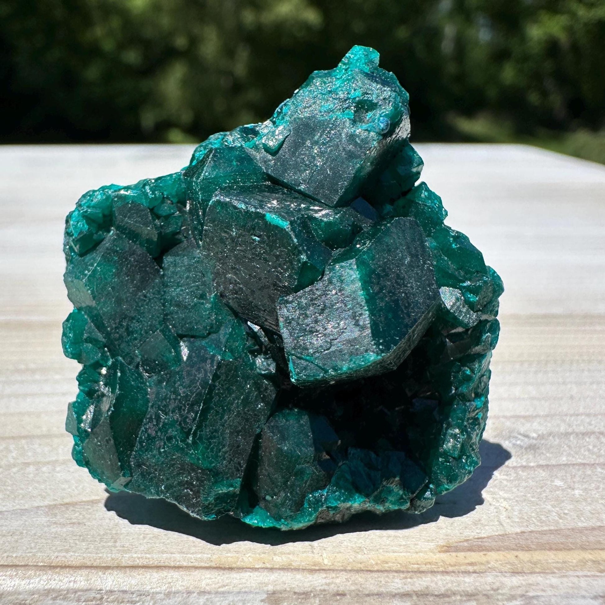 Dioptase Specimen Crystal Cluster - #1