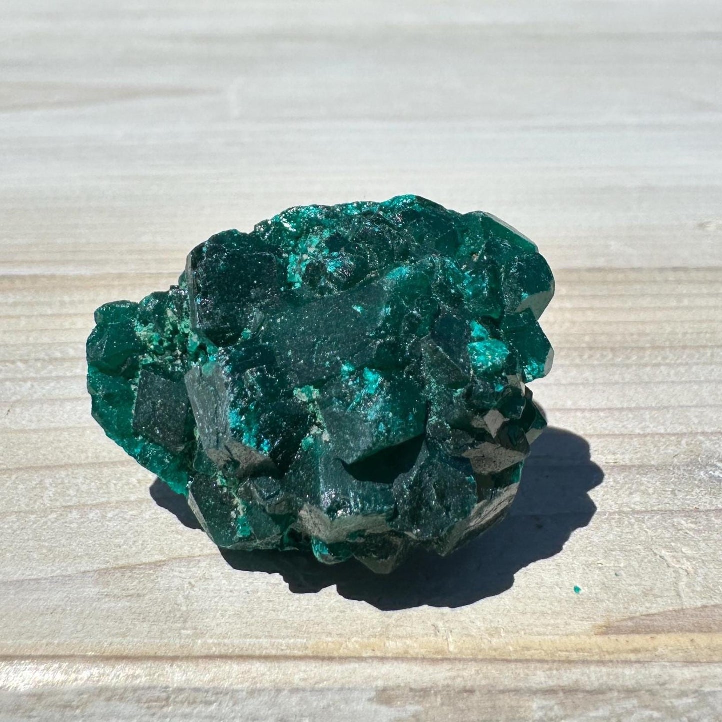 Dioptase Specimen Crystal Cluster - #3