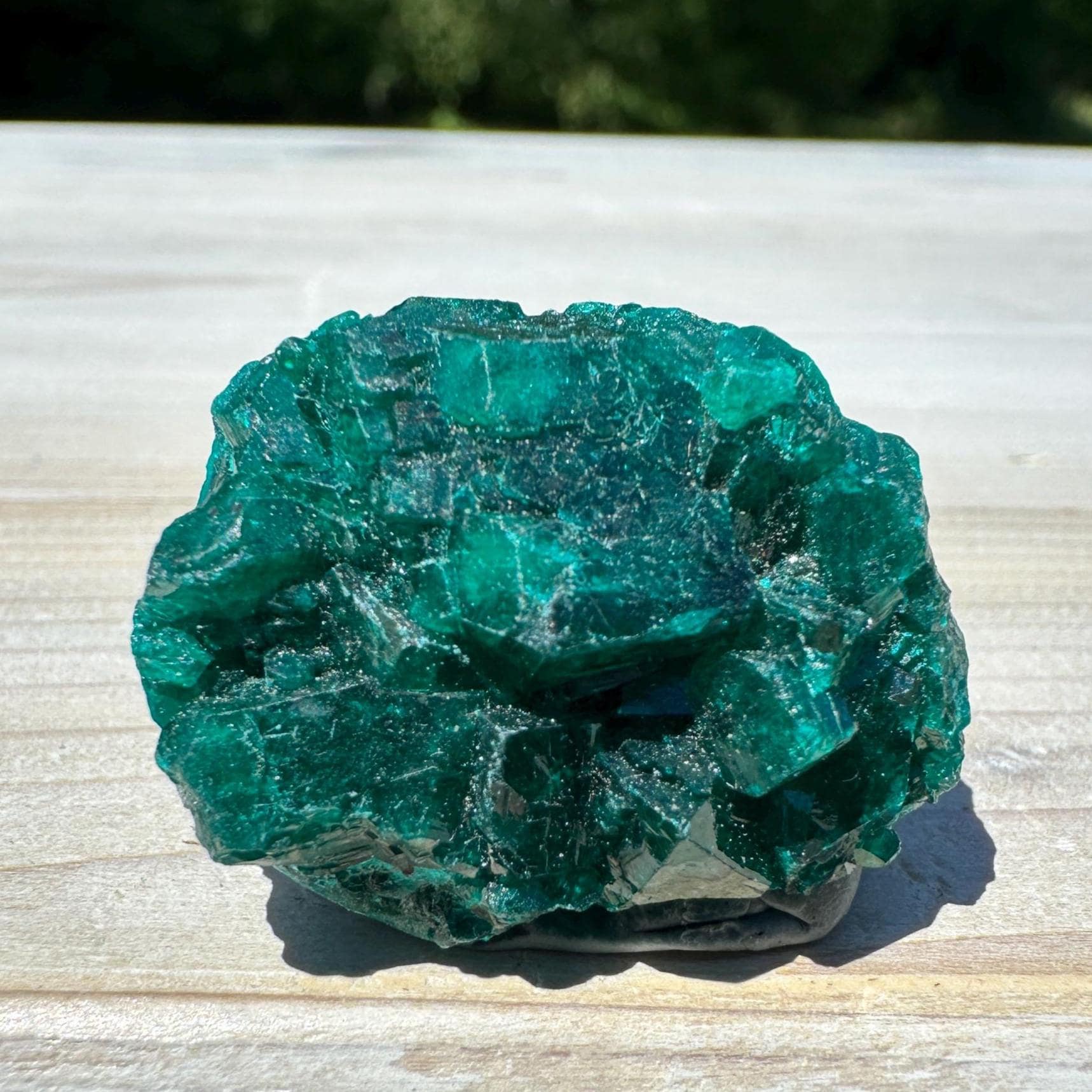 Dioptase Specimen Crystal Cluster - #4