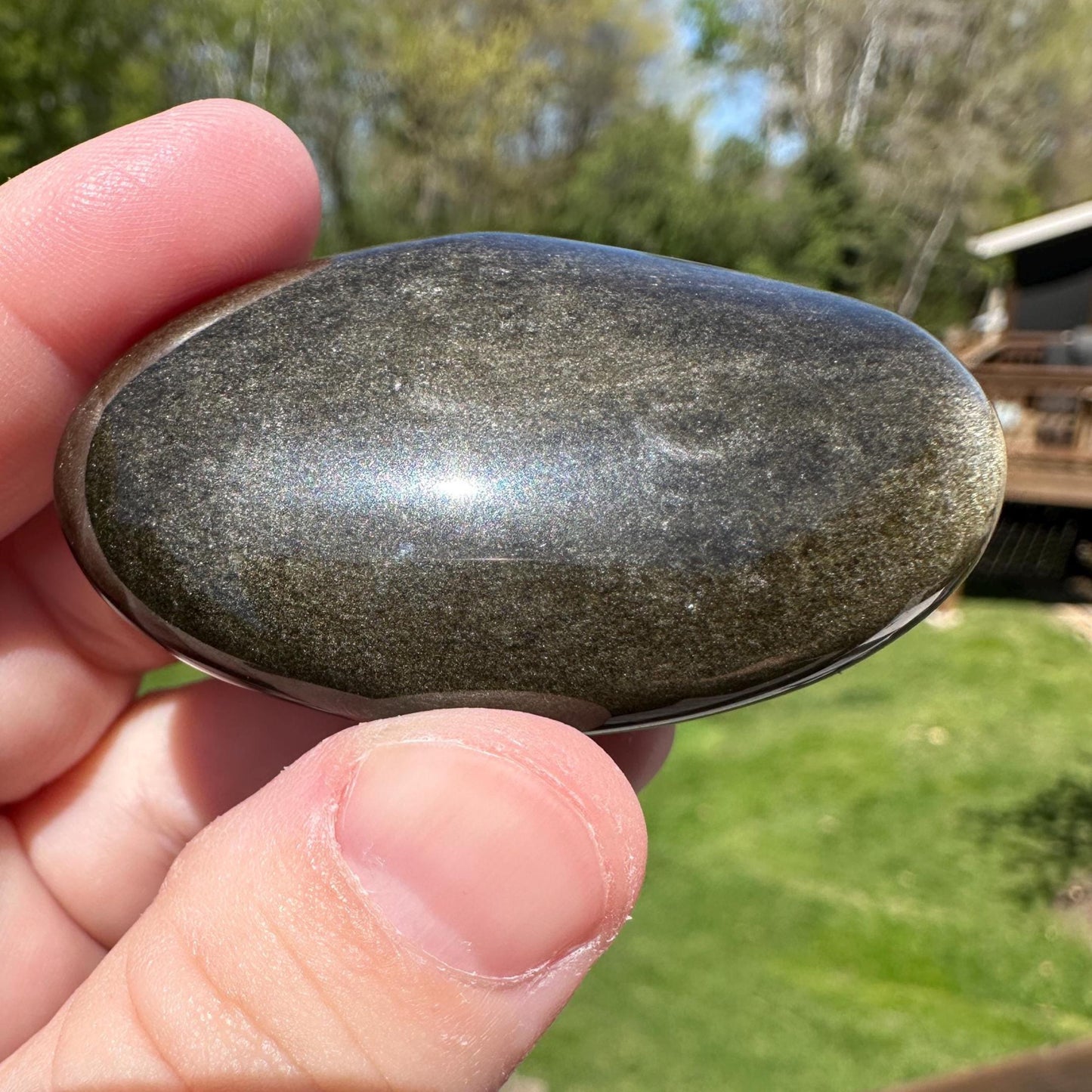 Beautiful Natural Gold Obsidian Crystal Palm Stone - #1