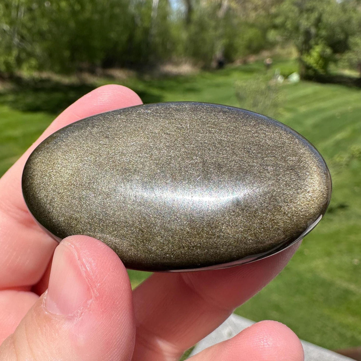 Beautiful Natural Gold Obsidian Crystal Palm Stone - #5