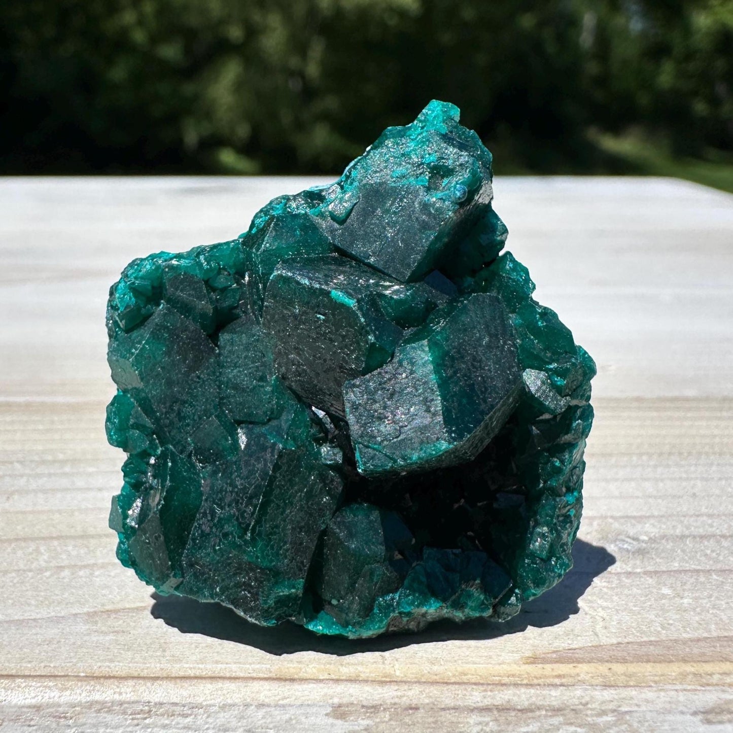 Dioptase Specimen Crystal Cluster - #1