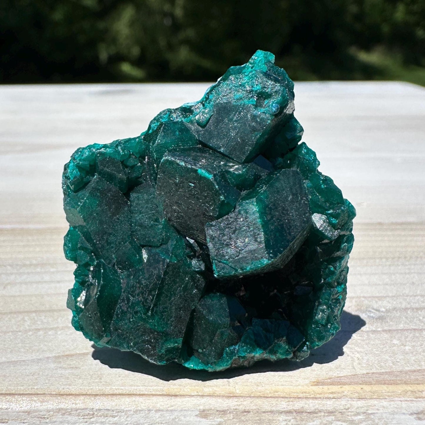 Dioptase Specimen Crystal Cluster - #1