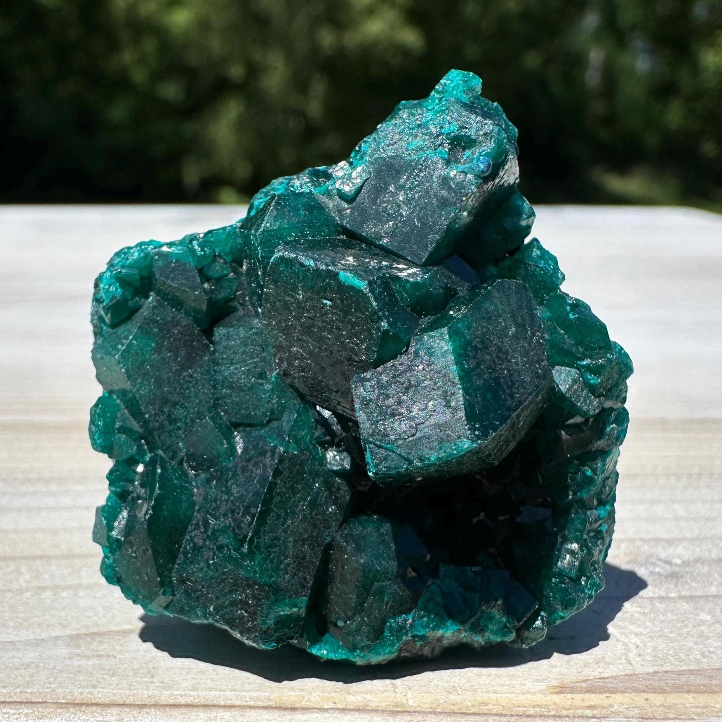 Dioptase Specimen Crystal Cluster - #1