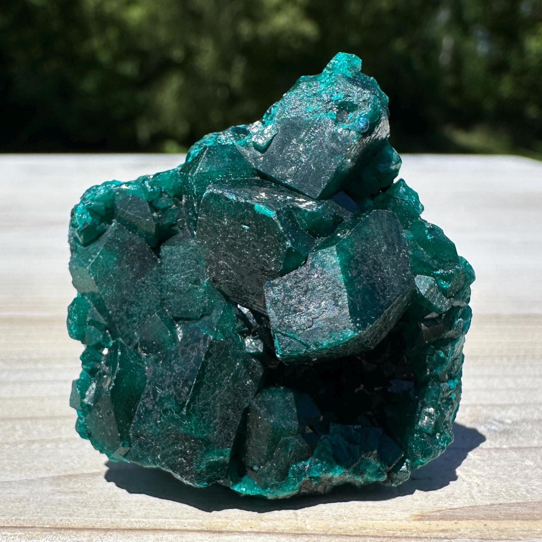 Dioptase Specimen Crystal Cluster - #1