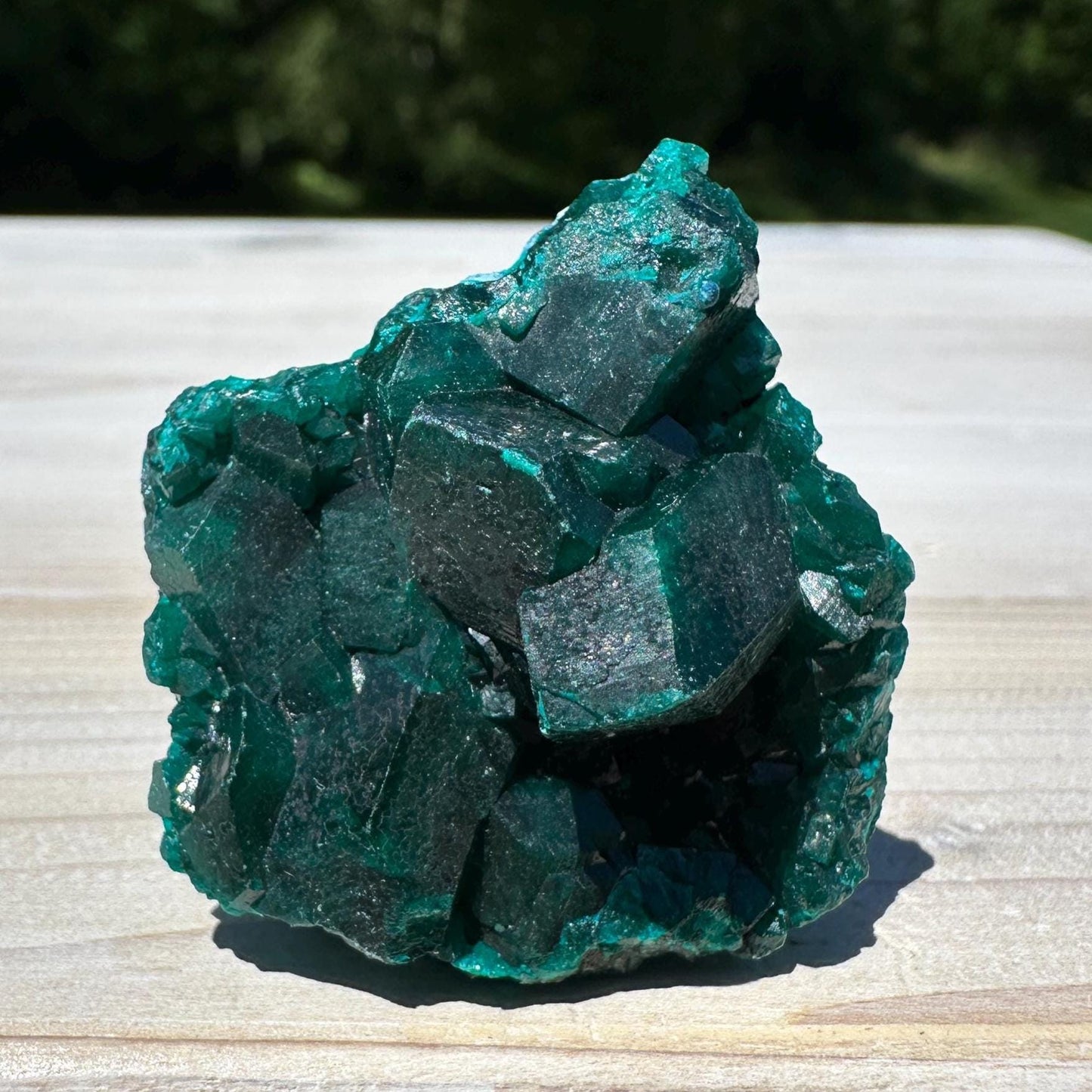 Dioptase Specimen Crystal Cluster - #1