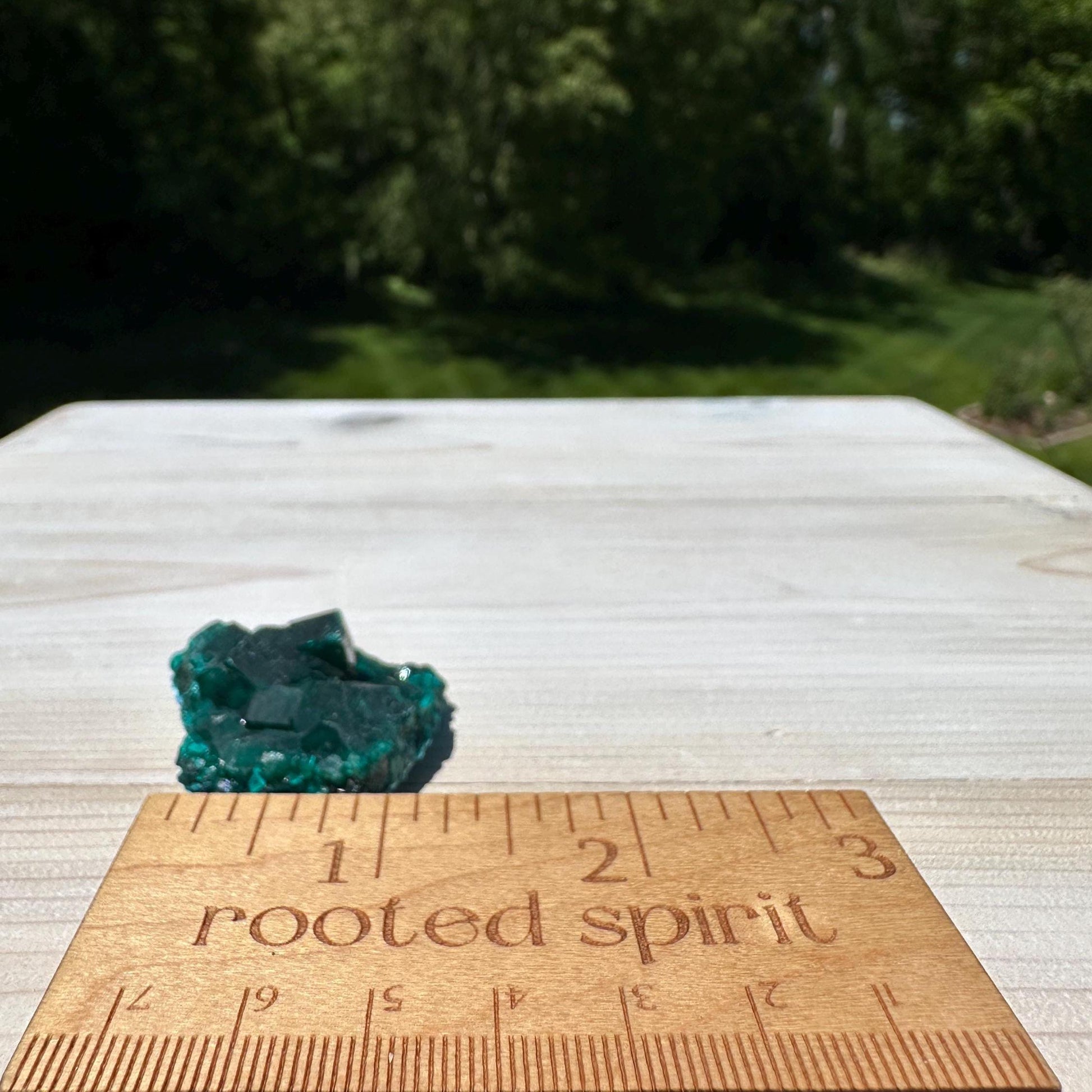 Dioptase Specimen Crystal Cluster - #1